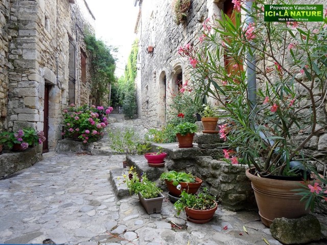 41-visit provence village