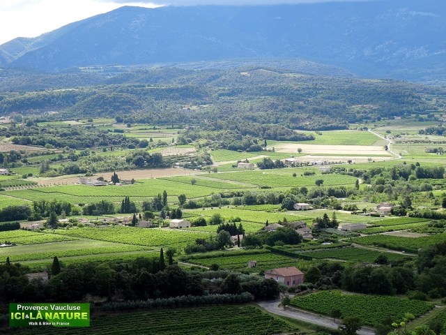 42-paysage de provence vaucluse