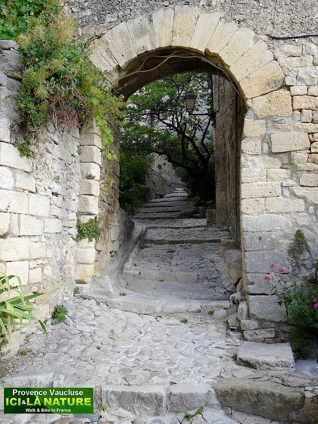 49-old place provence vaucluse