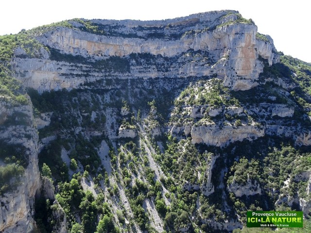 51-gorges de la nesque vaucluse