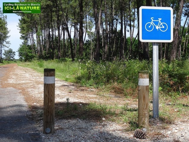 66-faire du vélo dans les Landes