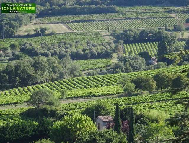 69-paysage de provence