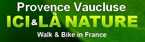 walking cycling in provence