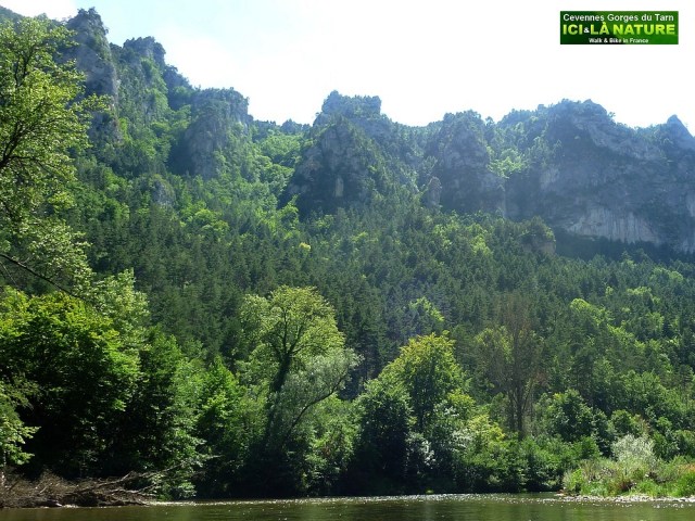 04-mountains in france cevennes