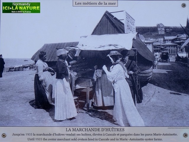 07-normandie vendeuse huitres 1900
