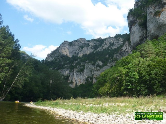 35-wild nature france europe