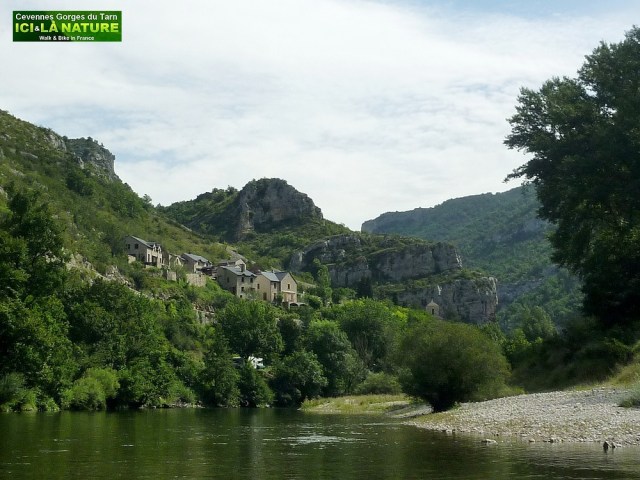 38-gorges du tarn rental