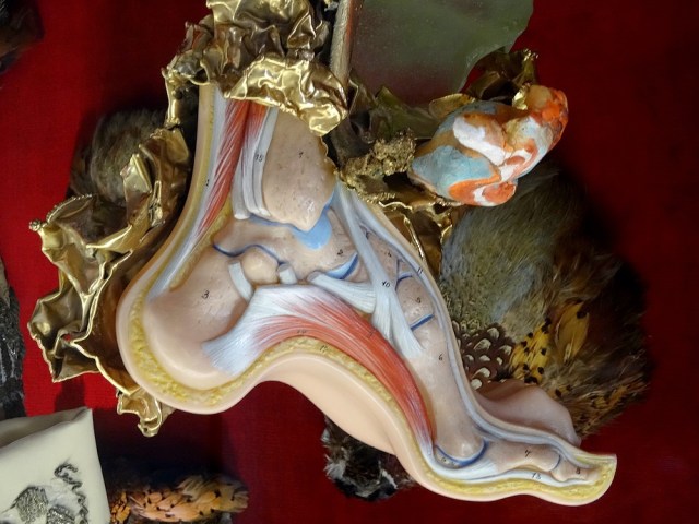 63-where to see dali work