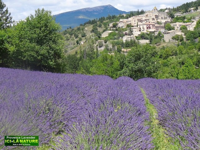 01-walking holidays provence