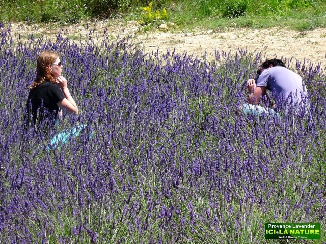 18-photography in lavender field