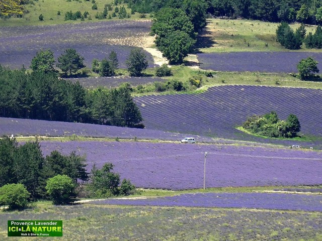 28-walking holidays in france provence