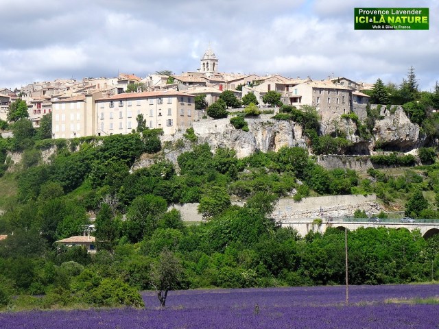 32-sault lavender capital provence