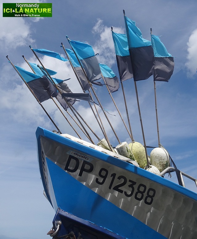 33-etape abbeville le havre profil de l' etape