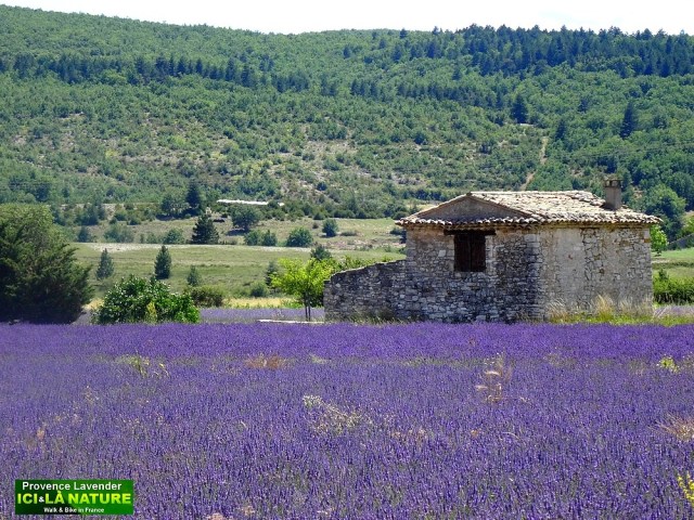 34-biking provence roads