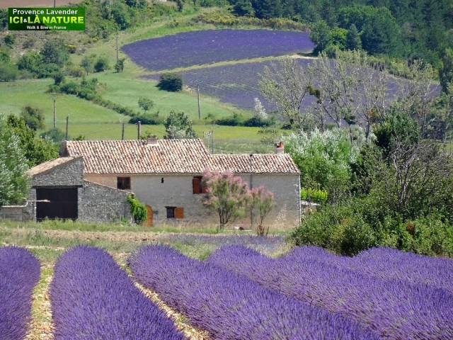 37-biking provence pff the beaten paths