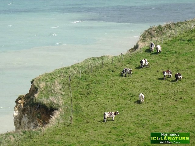 38-où passe le tour de france le 9 juillet 2015