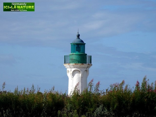 50-PHARE DE SAINT VALERY EN CAUX
