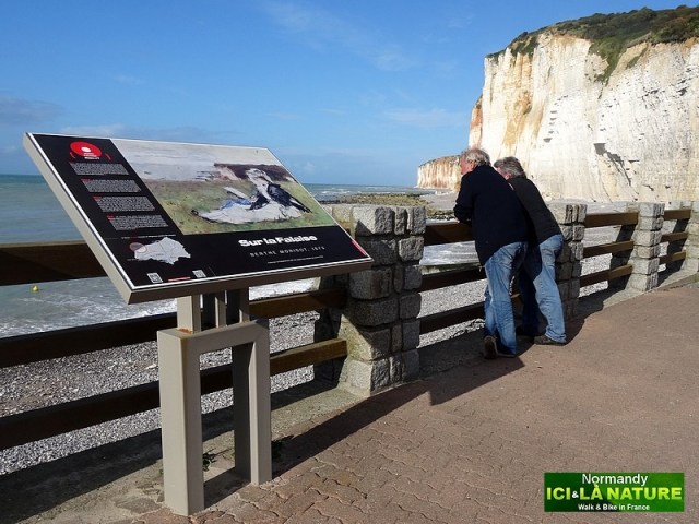 56-sur la falaise berthe morisot