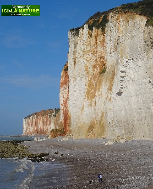 58-côte d' alabatre normandie tour de france