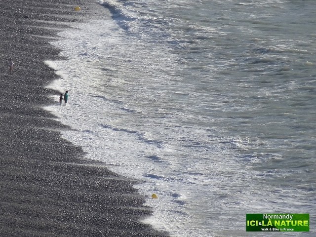 62- tour de france 2015 etape abbeville le havre