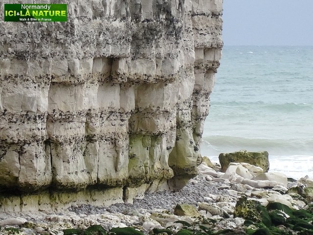82-falaises a yport normandie