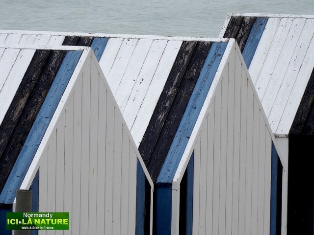 84- tour de france seine maritime 2015