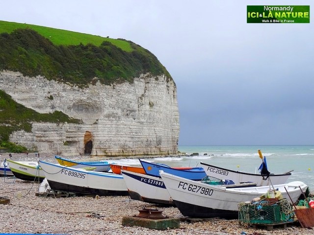 88-falaises a yport