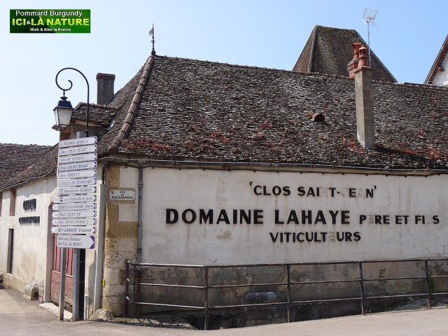 06-bourgogne clos saint jean pommard