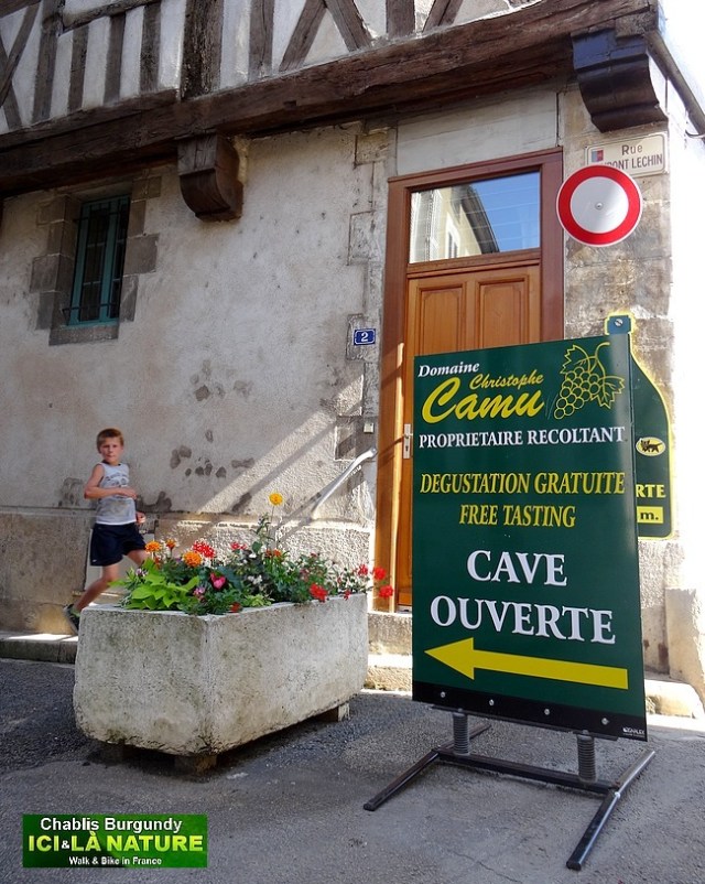 10-vins christophe camus chablis