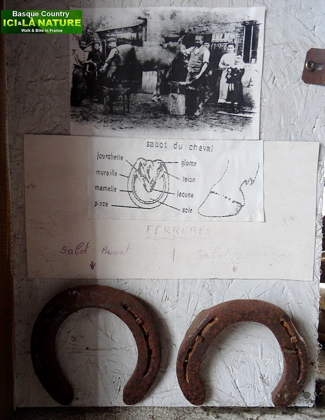 14-marechal ferrand fers a cheval