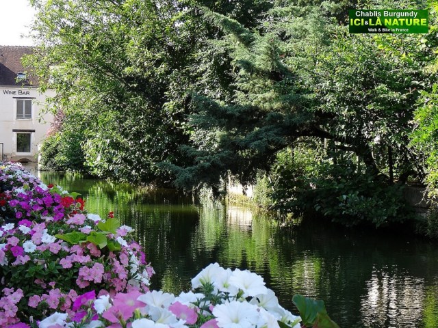 15-wine bar along the river chablis france