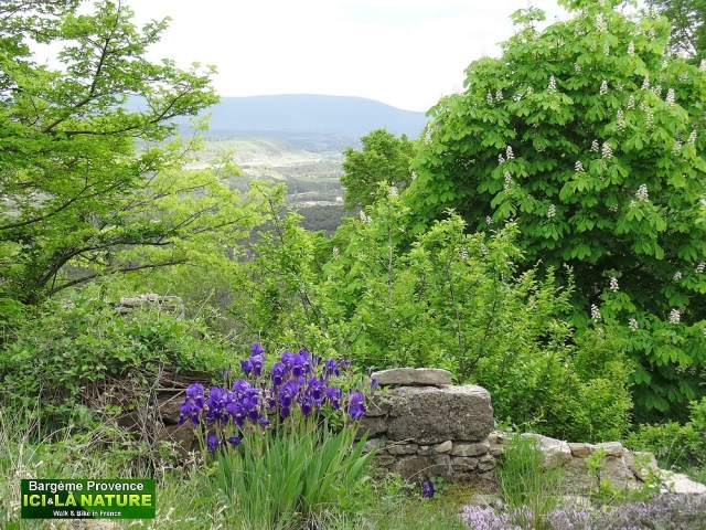 17-perched village south of france