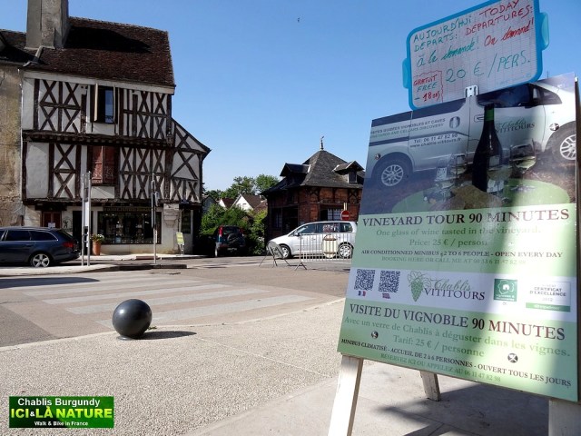 19-vineyard tour chablis burgundy