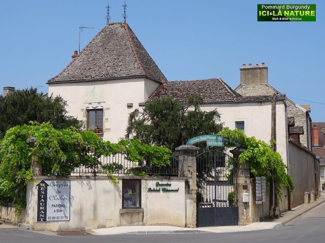 20-grand cru bourgogne pommard