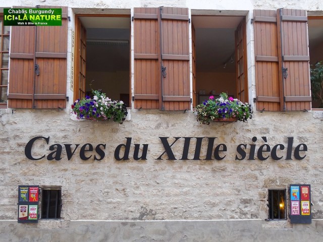 23-vine cellars of the 13 th century chablis france