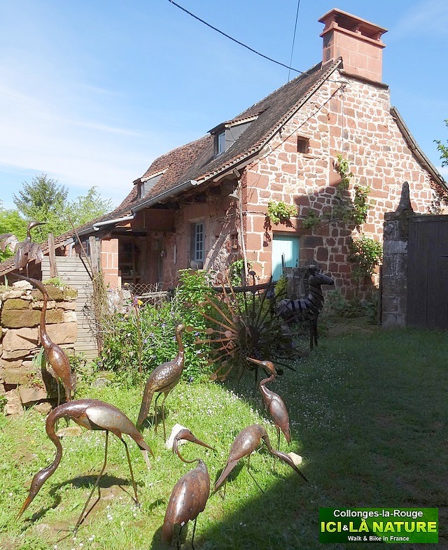 24-birds oiseaux france