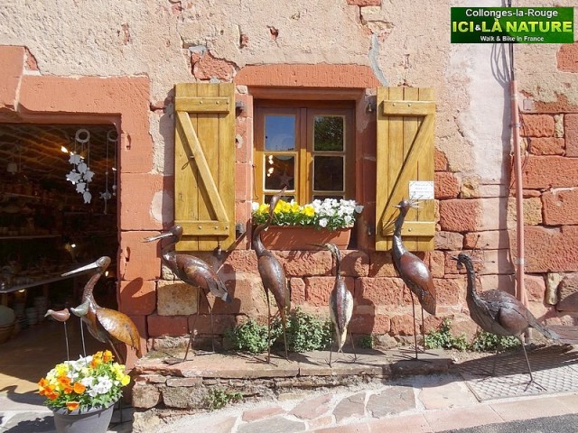 25-oiseaux en france