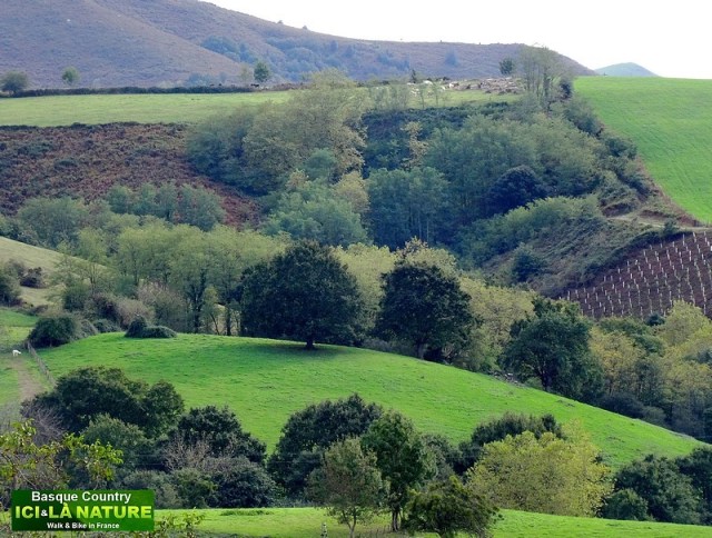 38-photo pays basque