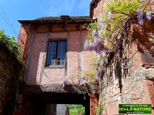 42-bike tour france ici et la nature