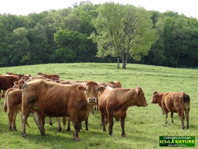 47-biking roadtrip france