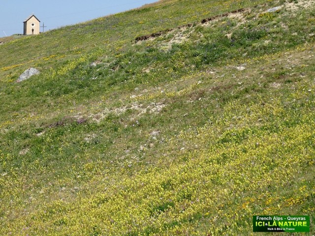 41- mountain church alps