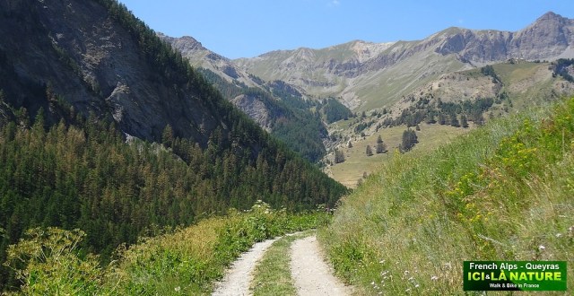 54-alps trekking