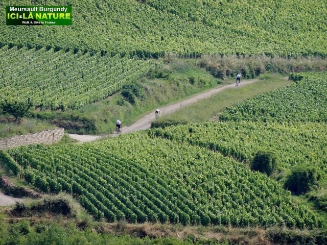 01-velo en bourgogne
