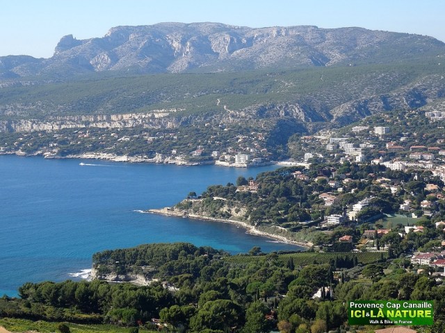 03-walking cap canaille cassis