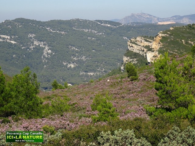 06-walking holidays provence mediterranean coast