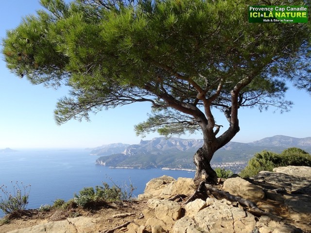 25-best hiking tour in provence