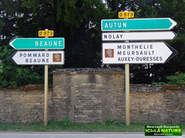 25-pommard beaune meursault