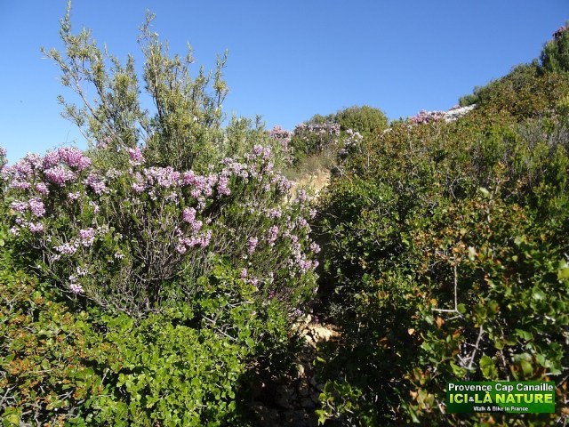 28-provence hiking adventure mediterranean coast cassis