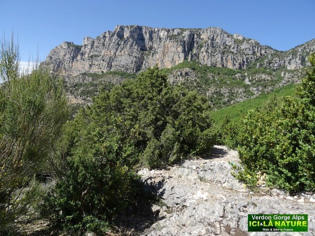 34-cycling alps gorges verdon provence