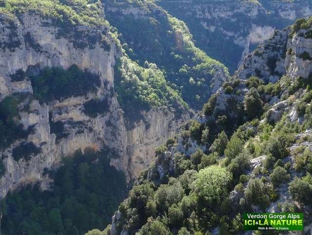 48-alps verdon canyon france